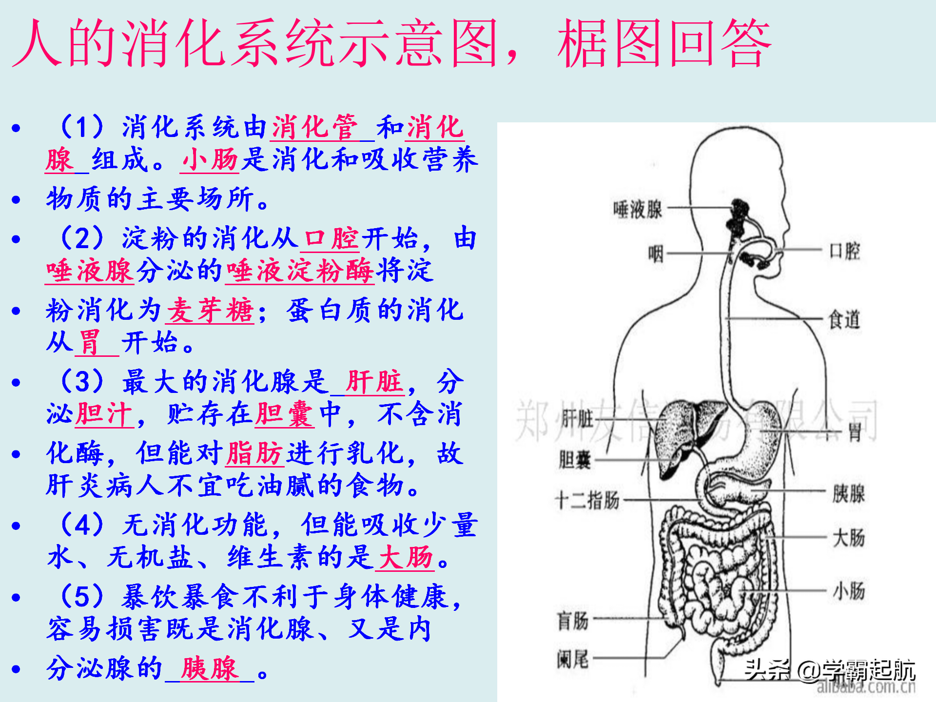 七年级下册生物复习内容，生物核心考点图文梳理