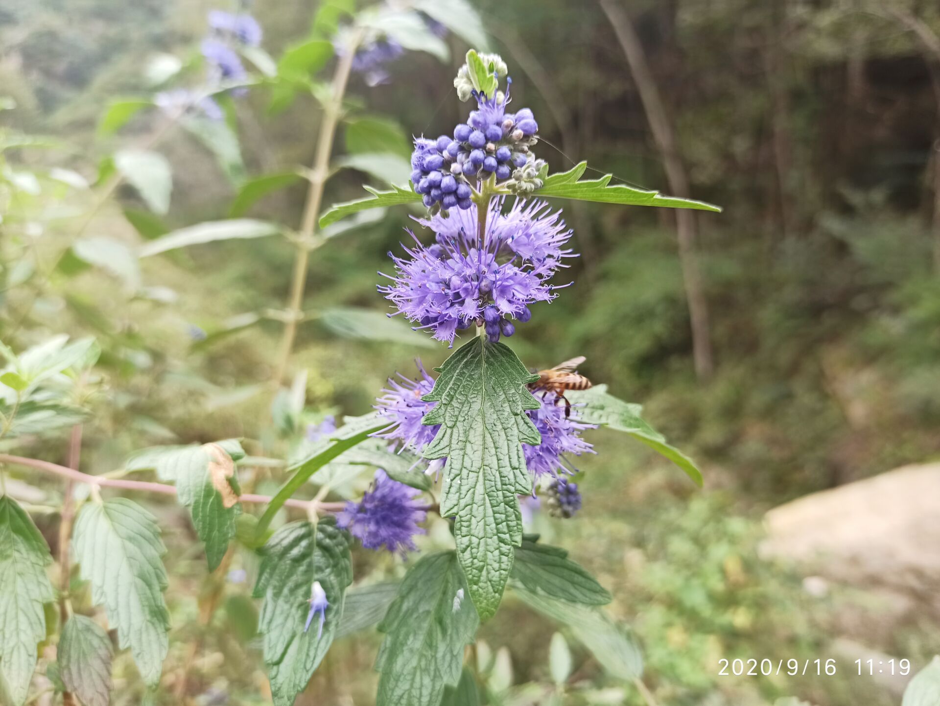 爱情中先醒来的人（精选优秀范文）