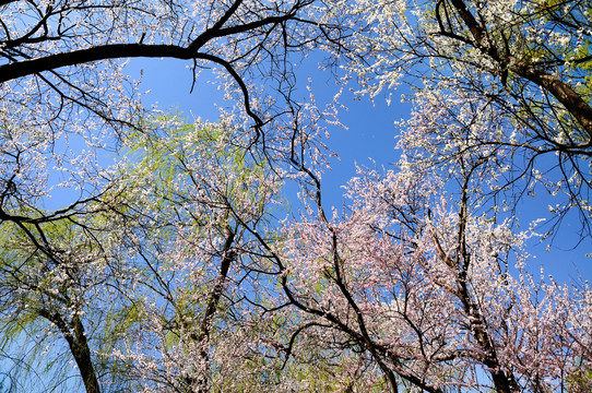 再纠结下去黄花菜都凉了读后感（精选哲学篇）