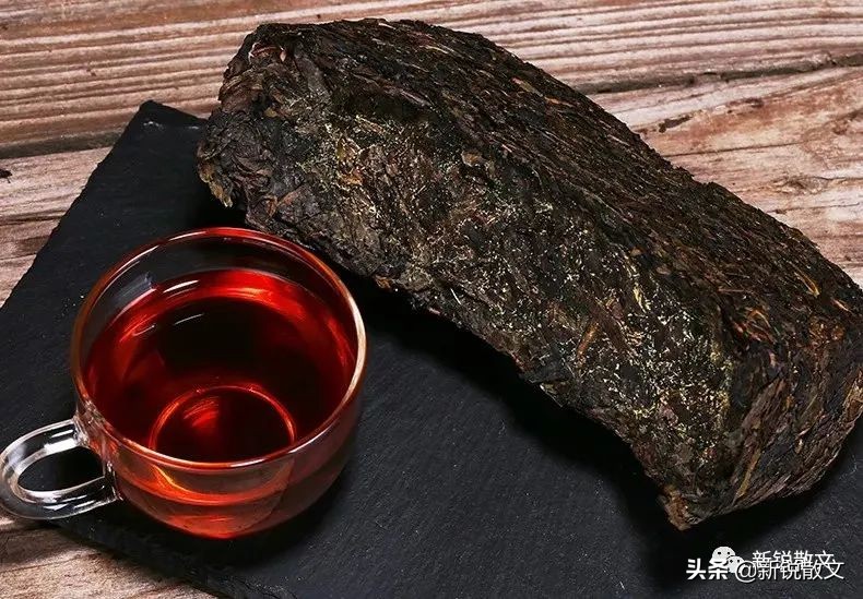 茶杯里的江湖作文（分享800字范文篇）