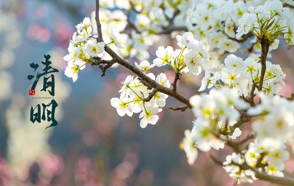 清明节唯美短句摘抄（精选12首）