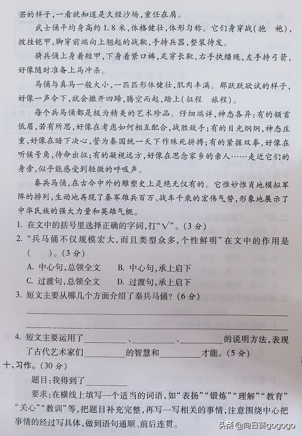 小学五下语文测试卷及答案，期末语文综合卷1套