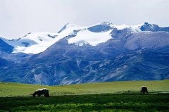 高山雪线是什么意思，高考地理考点雪线概念详解