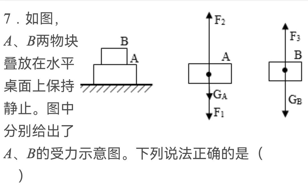 2022年中考物理模拟试卷（初中物理试题训练）