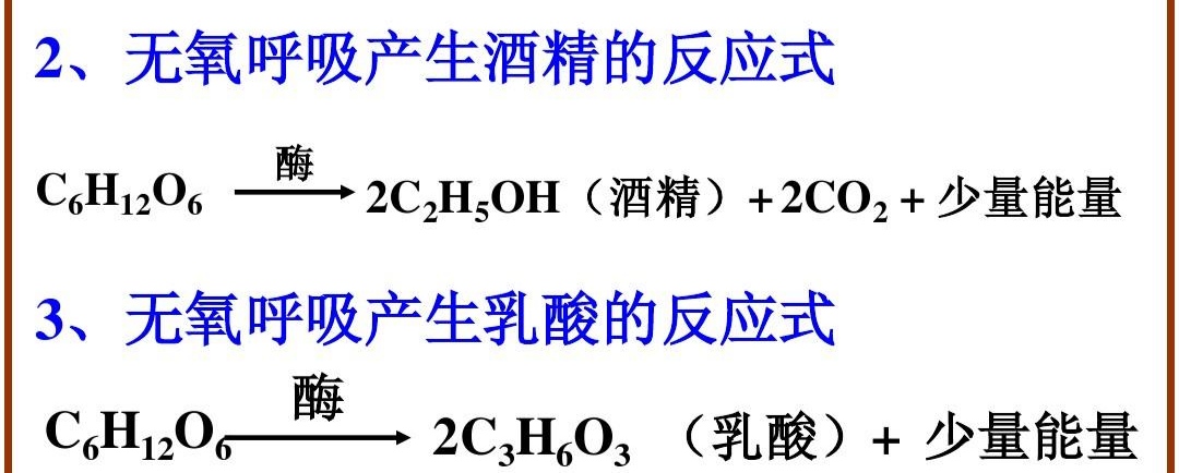 高中生物细胞能量的来源，通货ATP是怎么产生的