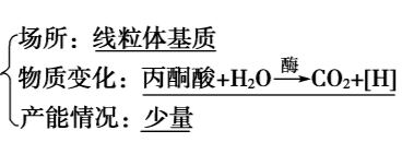 高中生物细胞能量的来源，通货ATP是怎么产生的