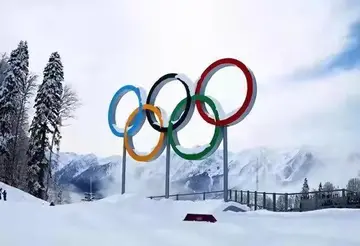 我爱北京冬奥会作文（精选800字优秀篇）