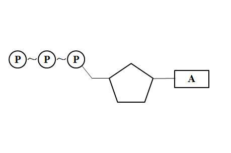 细胞生命活动所需能量来源（高中生物能量详解）