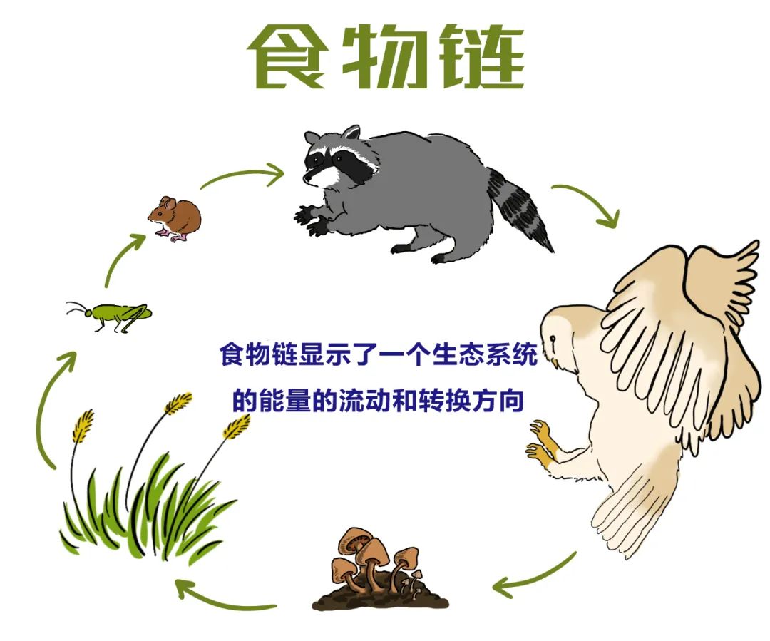 生物高中必修一到三知识点汇总（高考生物考点大全）