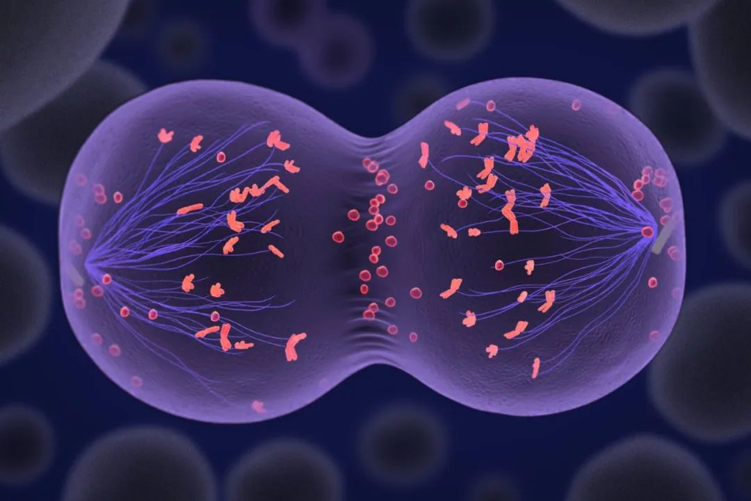 生物高中必修一到三知识点汇总（高考生物考点大全）