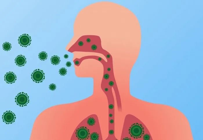 生物高中必修一到三知识点汇总（高考生物考点大全）