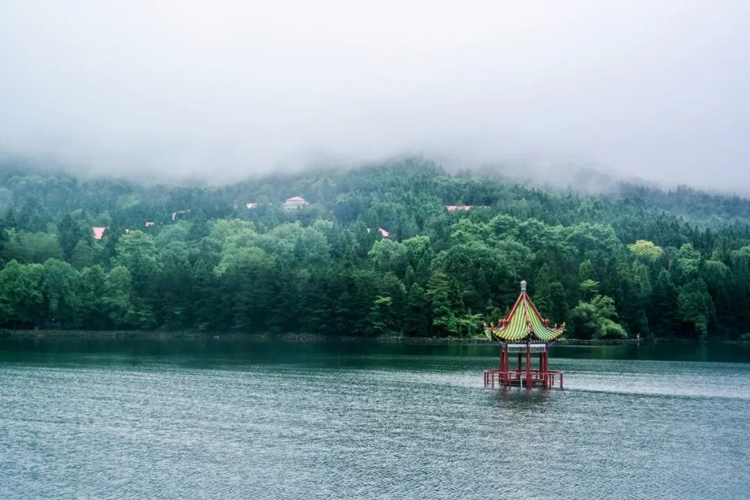 描写春雨的诗句古诗（春雨的唯美句子）