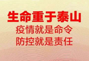 生命重于泰山观后感及感悟（分享10篇观后心得体会）