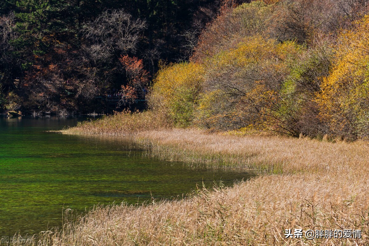 人生感悟柴米油盐经典句子大全（关于人生感悟的精简语录）