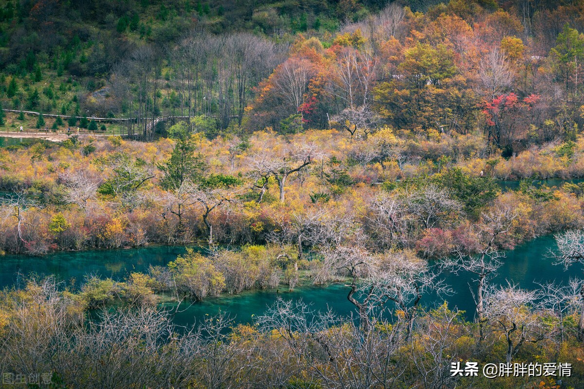 人生感悟柴米油盐经典句子大全（关于人生感悟的精简语录）