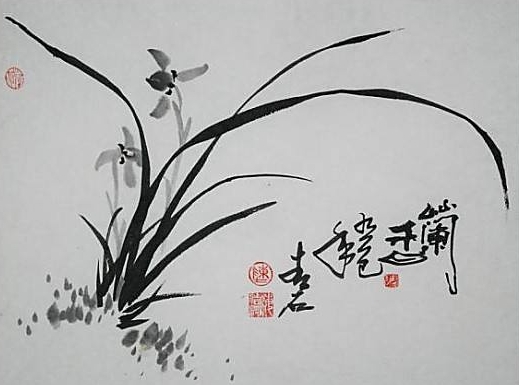 兰花诗诗句大全及赏析（形容兰花诗气质清雅诗句）