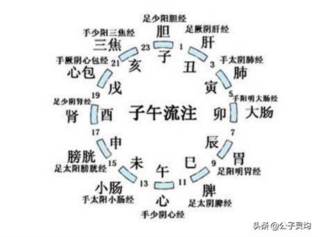 长沙太守张仲景的成圣之路（名医张仲景的故事）