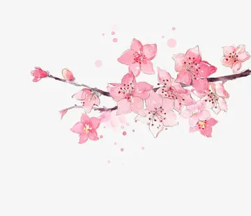 诗意春天描写樱花开的诗词，有关樱花诗词与解读
