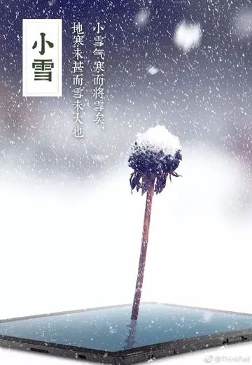 关于小雪的唯美短句（描写小雪的古诗词赏析）