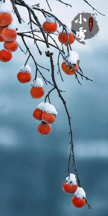 关于小雪的唯美及古风句子（描写小雪节气的古诗及赏析）