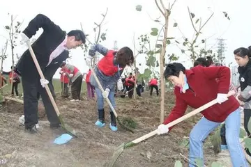 2022植树节活动主题策划方案及总结（植树节教育活动方案及内容）