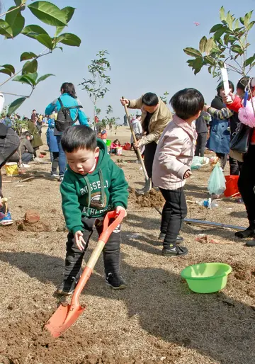 2022植树节活动主题策划方案及总结（植树节教育活动方案及内容）