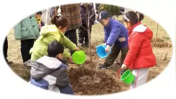 2022植树节活动宣传主题总结及背景（植树节活动简报及宣传语）