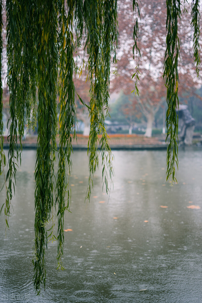 春天的作文开头结尾写作方法，写景作文三大攻略