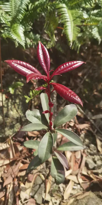 最美的人作文及范文（以最美的人为主题写一篇作文）