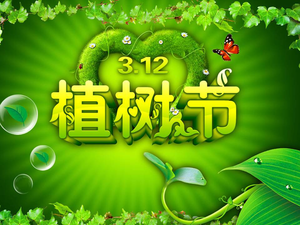 2022植树节主题班会活动记录及过程（以植树节为主题的班会活动背景及目的）