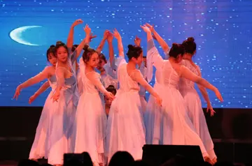2022校园舞蹈大赛活动策划书范文（学校舞蹈文化大赛主题策划书例文）