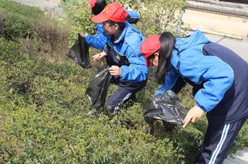 2022年学雷锋志愿服务活动方案及范例（学校学雷锋日主题活动实施方案范文）