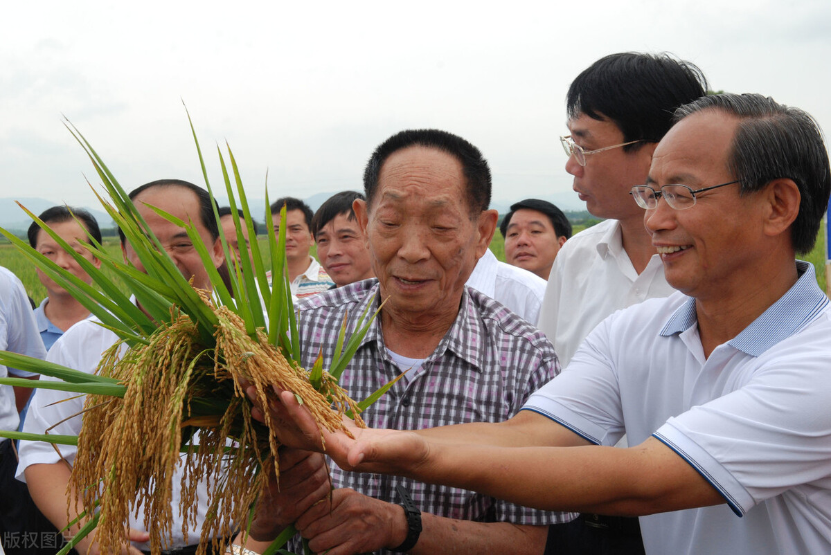 我心中的偶像作文及范文（关于这个时代真正的偶像）