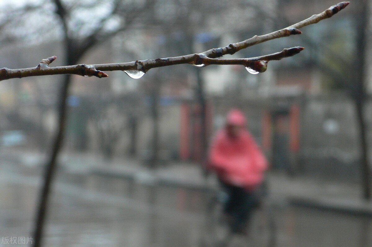 关于描写春风春雨的作文（分享春风春雨，如画如诗范文）