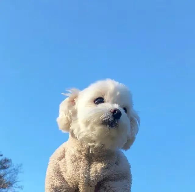 改变永远不嫌晚励志文案，治愈自己的正能量语录