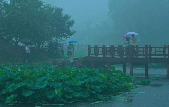 关于写雨景的点面结合作文（以写雨景的叙事类作文情景交融及范文）