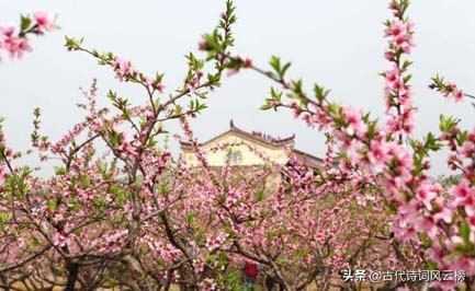 风流才子古诗词（形容风流才子古诗词鉴赏）