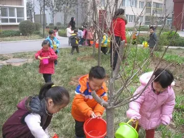 2022植树节社团活动策划方案及背景（植树节社团活动主题及文案）