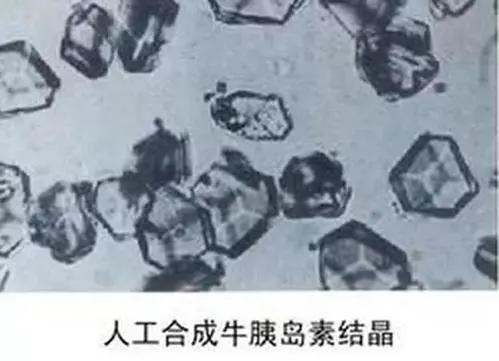 组成细胞的分子，细胞中的元素组成、水和无机盐