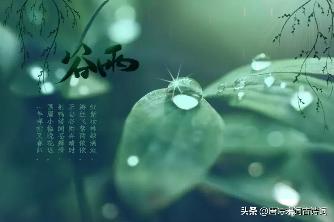 有关谷雨的绝美诗句（人间暮春，雨落情长的谷雨）