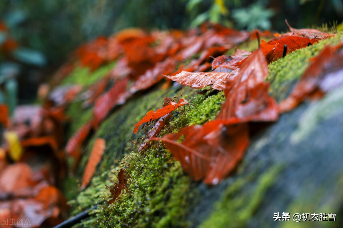 五首处暑节气诗鉴赏（景色变化的古诗）