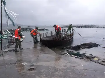 2022预防台风暴雨天气应急预案模板（防台防汛灾害应急工作方案范本）