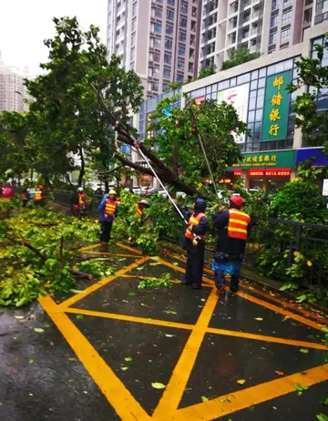 2022预防台风暴雨天气应急预案模板（防台防汛灾害应急工作方案范本）