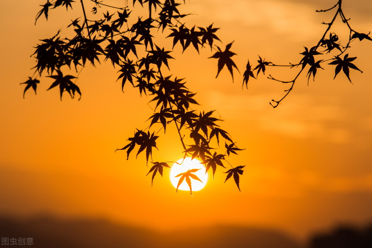 微风拂过描写风的古诗词（用词优美的写风短诗）