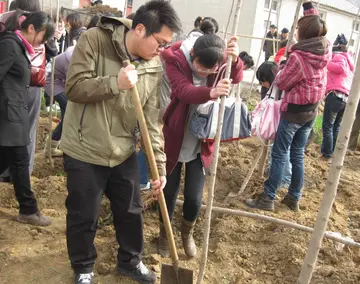 2022学校世界环境日教育活动总结模板（校园6.5世界环境日活动总结范文）