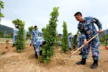 2022学校六五世界环境日活动总结范例（6.5世界环境日主题宣传活动总结范本）