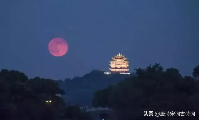 适合饮酒的诗词句子（一壶浊酒尽余欢）