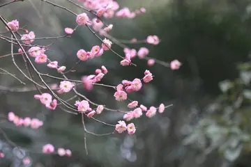 作文背影600字优秀范文（永远幸福的背影）