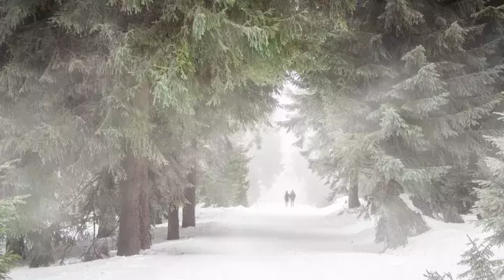 描写雪的唯美诗词名句（晚来天欲雪，能饮一杯无）