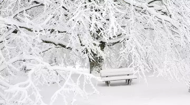 描写雪的唯美诗词名句（晚来天欲雪，能饮一杯无）